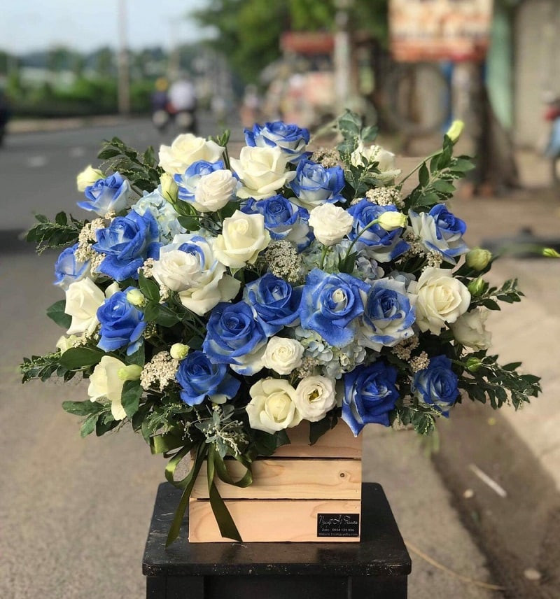 Mẫu bó hoa sinh nhật tại 	Phường Cam Linh	Cam Ranh	Khánh Hòa